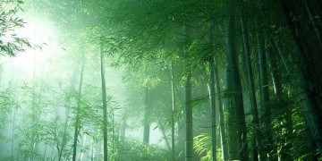 瑶族舞曲究竟是怎样的一首歌？