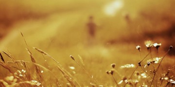 孩子走过最远的路出自哪首歌？