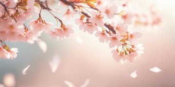 今生恨恨今生究竟出自哪首歌？