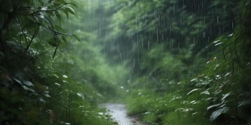 让爱化作相思的雨出自哪首歌？