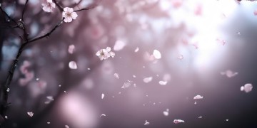 就算苦也忍着不哭到底是什么歌？