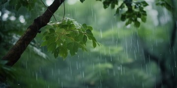 风在听雨是哪首歌？