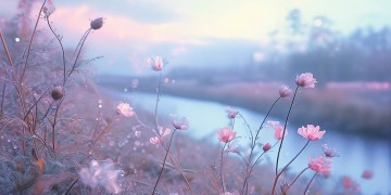 不帅不丑没人爱究竟是哪首歌?