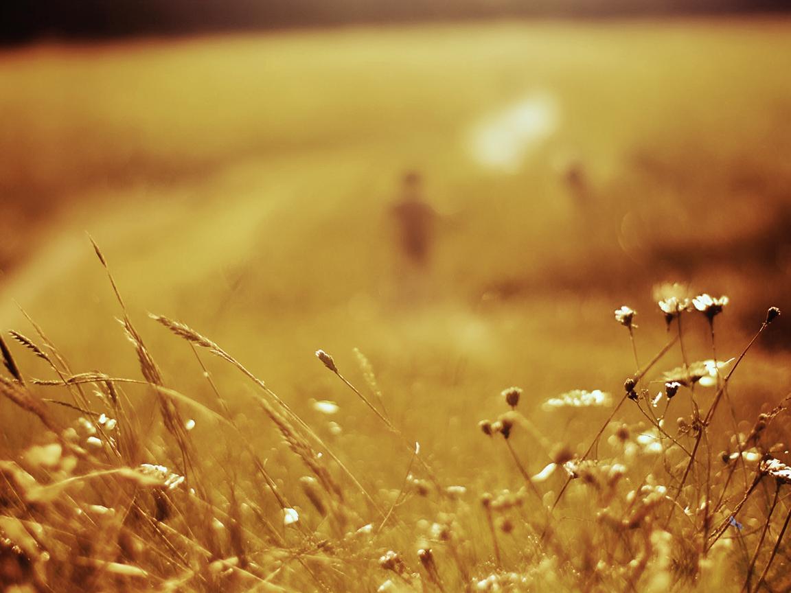 孩子走过最远的路出自哪首歌? 孩子走过最远的路出自哪首歌?